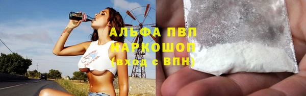молекула духа Новокубанск