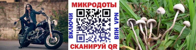 Галлюциногенные грибы ЛСД даркнет сайт Красково